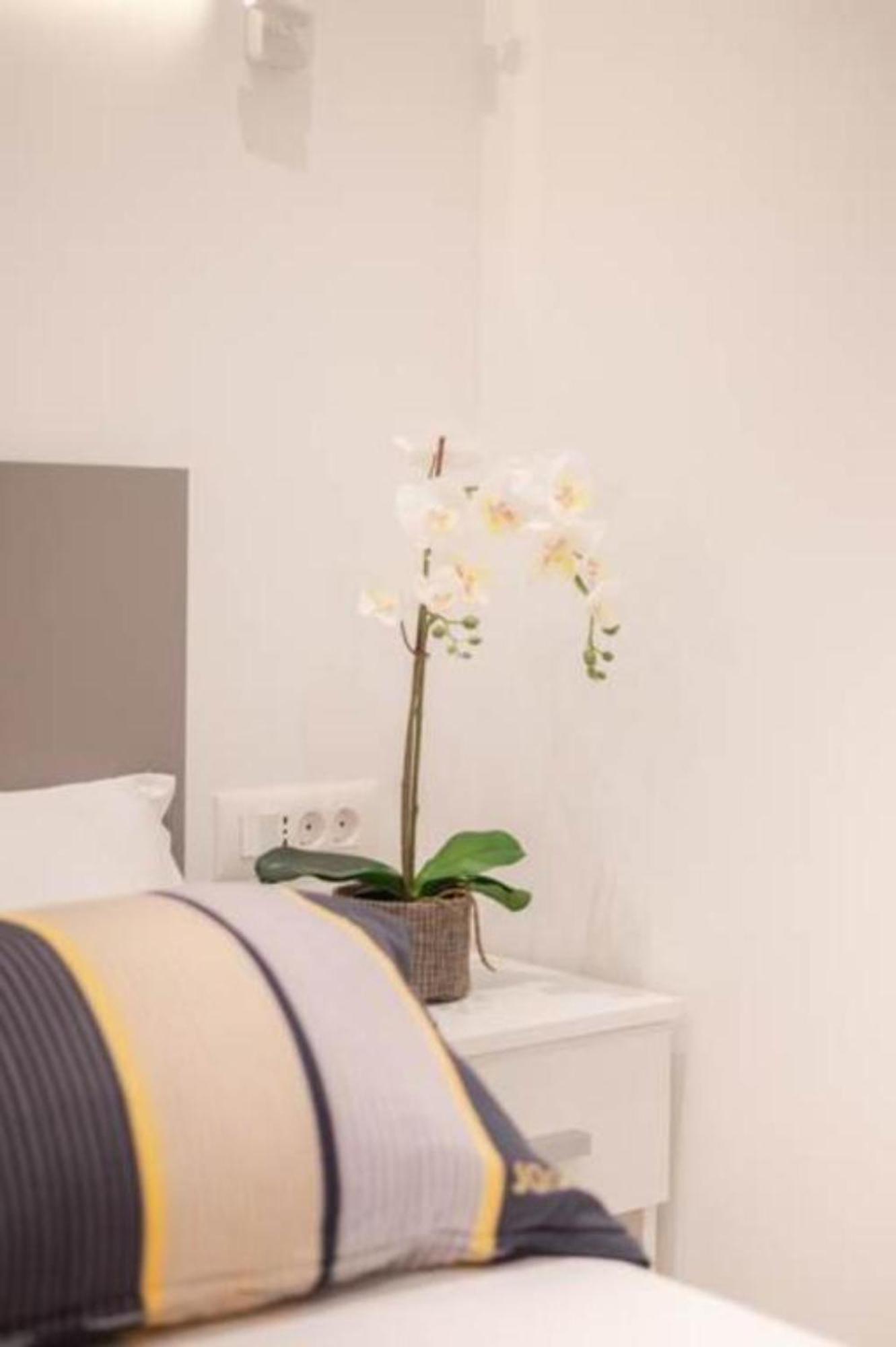 Canta Amore Suites Zadar Exterior foto